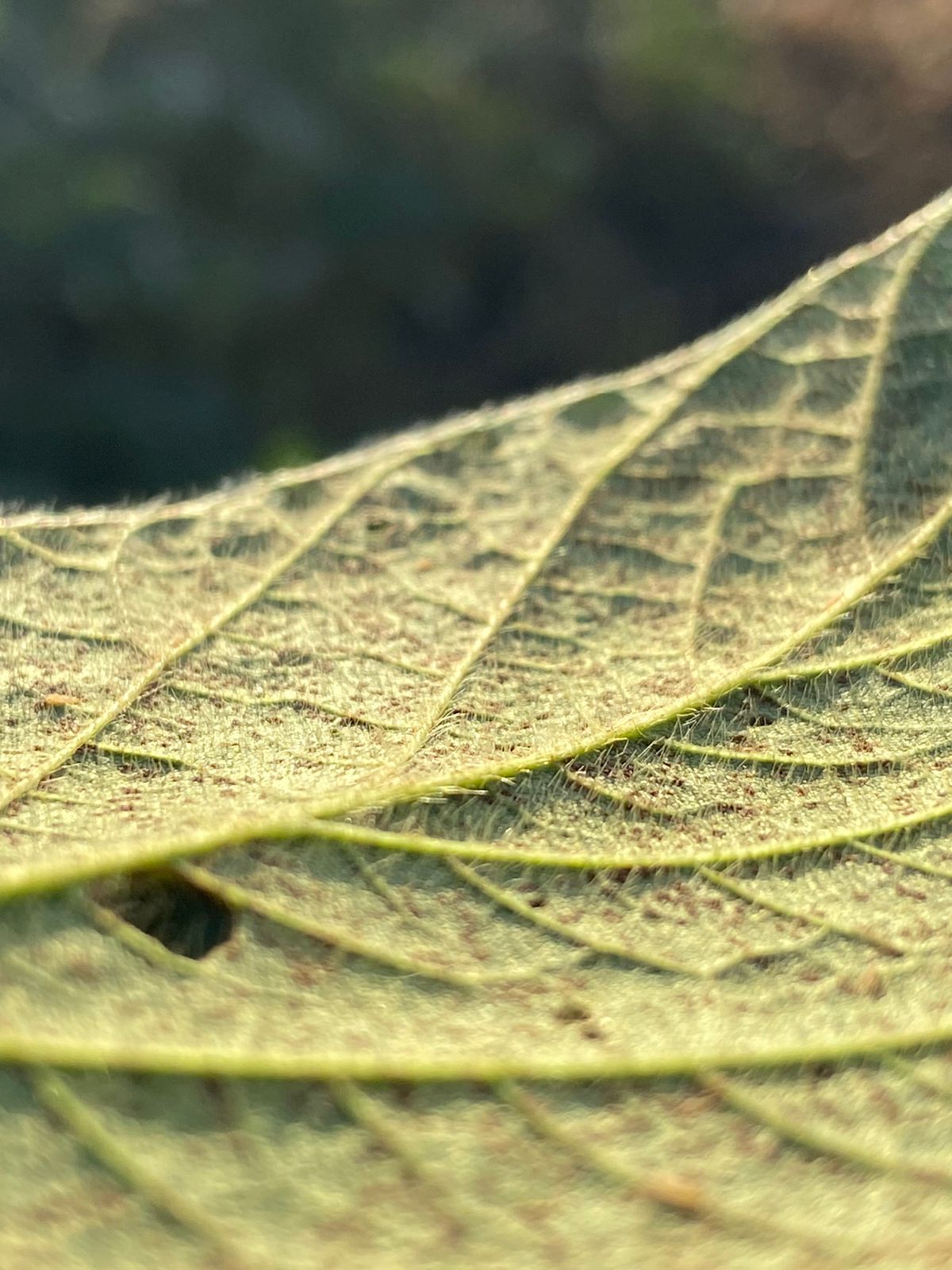 PHOTO-2024-08-07-14-12-46