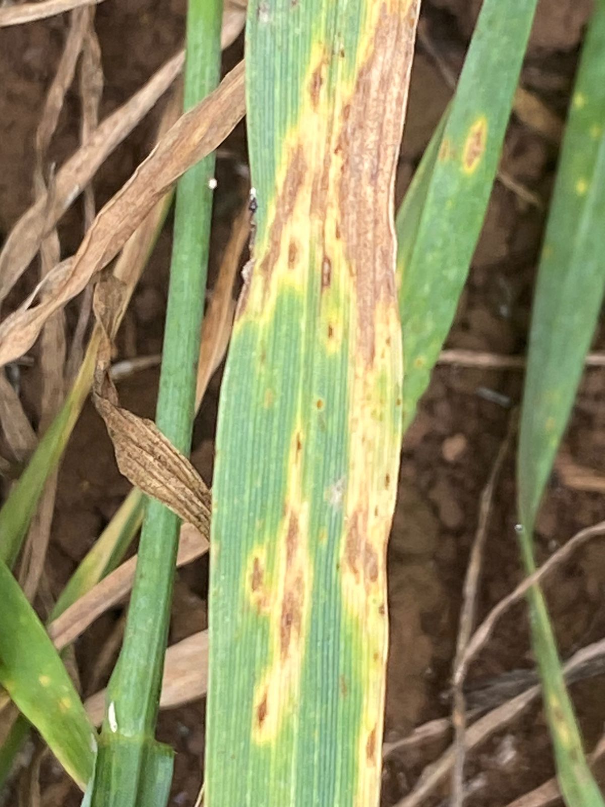 PHOTO-2024-10-07-08-28-41